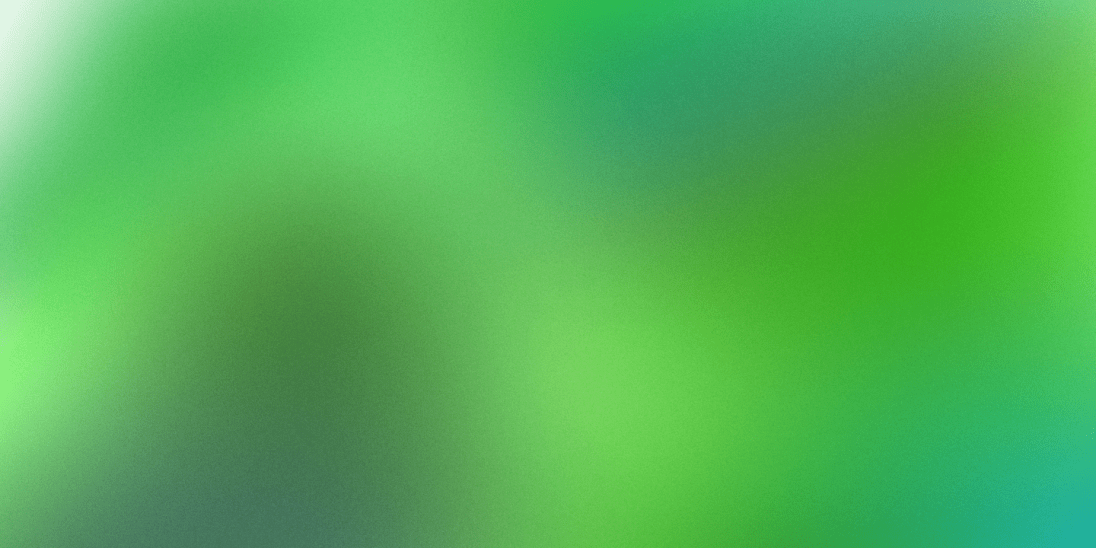 landing page for promotional campaign